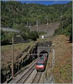 Im Umleitungsverkehr über die Gotthard Panorama Strecke dominieren die SBB RABe 501  Giruno , doch es verkehren auch einige Umläufe mit SBB Re 460 und EW IV Pendelkompositionen.