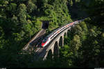 Eine Doppeltraktion SBB RABe 503 als EC 322 Chiasso - Zürich HB am 19.