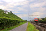 In den Rebbergen am Zürichsee - S7 nach Winterthur, gestossen von Lok 450 026. Bei Uerikon, 6.August 2019 