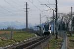 Mit dem Alpstein-Massiv und dem 2502 m hohen Säntis im Hintergrund ist RABe 526 765-3 am 18.03.2023 als S14 / 23882 von Weinfelden nach Konstanz unterwegs