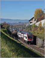 Der SBB RABe 511 115 als RE 3119 von Genève nach Romont zwischen Bossière und Grandvaux.
Seit dem Fahrplanwechsel 10.12.2017 verkehren keine RABe 511 auf der Strecke Lausanne - Romont mehr, die IR15 haben die Bedienung von Palézeux und Romont übernommen.
26. Okt. 2017