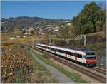 Ein vierteiliger  Domino -Zug als S9 12939 von Lausanne nach Payerne kurz nach Bossière.
26. Okt. 2017