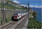 Dieses Bild wird es auch künftig alle halbe Stunde geben, nur die Zugzielanzeige wird nicht mehr Fribourg/Freiburg lauten. 
Der SBB RABe 511 114 als RE 30225 von Genève nach Fribourg via Vevey kurz vor St-Saphorin.
26. August 2018