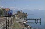 Die WRS Re 475 902 fährt mit einem Kesselwagenzug Richtung Lausanne bei St-Saphorin am Genfer See entlang.