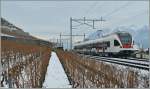 Bahn und Wein macht auch, so denke ich jedenfalls, auch im Winter ein gutes Bild...
523 031 als S 1 nach Yverdon bei Villette VD am 27.12.2010  