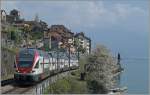Der RABe 511 103 als RE 2726 von Vevey nach Genève bei St-Saphorin; auf dieses Foto habe ich über ein Jahr warten müssen, da letzten Frühling Freizeit, Blütenzeit und Sonnenschein nicht zusammen passen wollten.
6. April 2014