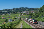 Kreuzung zweier DOMINO auf der S4 des RER Vaud am 16. Juli 2016 bei Bossière.