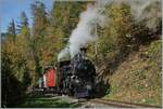 Die BFD HG 3/4 N° 3 der Blonay-Chamby Bahn ist im herbstlichen Wald bei Chamby auf der Fahrt nach Chaulin.