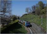 Bei Sonzier ist eine der beiden Ge 4/4 Serie 8000 in GoldenPass Line Lackierung mit einem GoldenPass Classic auf der Fahrt von Zweisimmen nach Montreux.