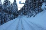 Blick auf den tief verschneiten Wald zwischen Arosa und Litzirti aus 
dem letzten Wagen des Regio nach Chur.12.01.12

