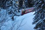  Was kommt den da aus dem Wald  Regio nach Chur unterhalb von Arosa.12.01.12