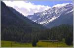 Bernina Express 961 aus Davos Platz oberhalb Bergün.