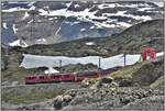 Bernina Express PE976 mit ABe 4/4 III 55  Diavolezza  und 56  Corviglia  am Ufer des Lago Bianco. (19.06.2019)