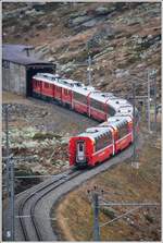 Bernina Express PE976 mit ABe 4/4 III 53  Tirano  und 54  Hakone  zwischen Alp Grüm und Ospizio Bernina am Beginn der Scala Galerie. (18.10.2019)
