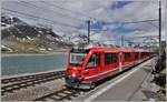 R4621 mit ABe 8/12 3501 in Ospizio Bernina 2253m ü/M. (09.06.2020)