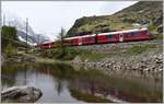 R4648 nach St.Moritz mit ABe 8/12 3511 am Poz del dragu oberhalb von Alp Grüm. (09.06.2020)