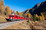 Am 24.10.2021 sind RhB ABe 4/4 52 und ABe 4/4 54 unterwegs mit dem BEX durch wunderschöne herbstliche Landschaft und konnten hier bei Morteratsch aufgenommen werden