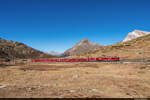 Am 24.10.2021 RhB ABe 4/4 56 und ABe 55 sind unterwegs mit einem Regionalzug und konnten hier am Bernina bei Lagalb aufgenommen werden