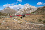 RhB ABe 4/4 III 52 & 51 / Alp Bondo, Berninapass, 15. Oktober 2023<br>
Bernina Express Tirano - St. Moritz