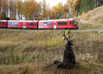 Hirsch in Gleisnähe? Jawohl, nur ist dieser aus Holz! Triebzug 'Allegra' 3502 fährt mit dem Regionalzug von St.