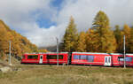 Triebzug 'Allegra' 3512 von Tirano nach St. Moritz fährt zwischen Cavaglia und Alp Grüm inmitten wunderschönem Herbstwald bergwärts. Cavaglia, 22.10.2024