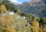 Schöner Zug in schöner Landschaft: Regionalzug von St. Moritz nach Tirano verlässt die Dienststation Cadera zwischen Cavaglia und Poschiavo. Das Foto wurde von einem Wanderweg aus gemacht. Poschiavo, 22.10.2024