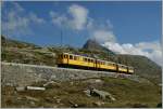 Obwohl es mittlerweile auch in Blonay die RhB ABe 4/4 zu fotografieren gibt, lohht es sich doch, am Bernina die gelben Originale abzulichten: Bernian ABDe 4/4 N30 und N34 mit einem Extrazug kurz vor