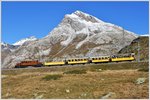 Bahnoldtimer-Wochenende im Engadin. Bellavista Express mit der Ge 4/4 182 vor der Kulisse des Piz Alv zwischen Ospizio Bernina und Bernina Lagalb. (16.10.2016)