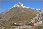 Bernina Express 976 aus Tirano mit zwei ABe 4/4 III vor dem Piz Albris bei Bernina Lagalb.