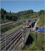 Bei der Abzweigstation Wanzwil mündet die NBS Streckenast von Solothurn in die NBS Mattstetten  -Rothrist (Km 36). Das Bild welches auf Gründen des beschränkten Zugangs nicht sonderlich gut aus viel zeigt einen ICN RABe 500 der den 597 Meter langen Wolfackertunnel Nord verlassen hat und nun auf die NBS einfädelt. im linken Bildteil ist die Strecke der Gegenrichtung, welche in den 436 Meter langen Wolfackertunnel Süd mündet zu sehen. Die Strecke ist nach der Tunnelausfahrt in Richtung Solothurn bei Inkwil in der Folge einspurig trassiert, wie die vorangegangenen Bilder zeigen. 

12. September 2022