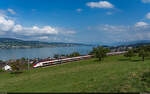 SBB RABe 501 024 / Horgen Oberdorf, 8.