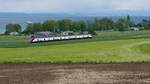 Im Rahmen des internationalen Festwochenendes  150 Jahre Seelinie und Trajekt  rund um den Bodensee verkehrte ein Fernverkehrs-Doppelstockzug als Extrazug zwischen Rorschach, Romanshorn und Kreuzlingen Hafen. In Erwartung eines 8-teiligen Twindexx wurde eine Stelle gesucht, um den Zug in einem seiner Länge entsprechenden Landschaftsabschnitt des Bodensees zu fotografieren. Wie so oft, kam es anders als erwartet. Auf der Fahrt entlang des Bodensees nach Kreuzlingen Hafen befindet sich der 4-teilige RABDe 502 405-9  Rorschach  am 05.05.2019 zwischen Güttingen und Altnau.