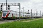 Der RABe 502 223 und RABDe 502 004 am 18.5.23 unterwegs bei Bassersdor.