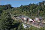 Ein SBB RABe 503 ist als EC nach Milano bei Wanzwil auf der NBS Rothrist - Mattstetten unterwegs und wird gleich in den 3173 Meter langen Önzbergtunnel einfahren.