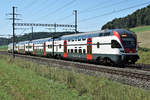 SBB RE Bern - Olten mit RABe 511 121 bei Riedtwil am 11. August 2019.
Foto: Walter Ruetsch