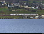 SBB - 1 Triebzug RABe 511 ... unterwegs am Zürichsee bei Meilen am 2024.12.21