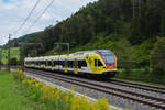 RABe 521 017 mit der Werbung für die Fachhochschule Muttenz, auf der S3,fährt Richtung Bahnhof Tecknau. Die Aufnahme stammt vom 28.08.2021.