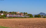 RABe 521 209 und RABe 521 204 als SBB 87661 (Engen - Konstanz) bei Mühlhausen 29.8.24