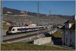 Die gleiche Szene aus einem anderen Blickwinkel: Um den RER Vaud S-Bahnen das Wenden in Cully zu ermöglichen und damit die Frequenzen in der Agglomeration Lausanne zu erhöhen, hat man den Bahnhof umgebaut: das bergseitige Gleis im Einfahrbereich etwa gestreckt und gegen den Berg verschoben, das ehemalige Durchfahrgleis hat nun Seite Lausanne Weichenverbidnungen ohne den Gengenverkehr zu beeinträchtigen, zudem ist das ehemalige Überholgeleis 3 nun das Durchfahrtgleis Richtung Lausanne. 
Zwei SBB RABe 523 erreichen als  RER Vaud Cully auf Gleis 2, Endstation. Der Zug wendet hier. 

20. Februar 2023