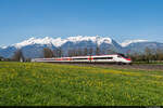 Am 24.04.2021 ist SBB ETR 610 006 mit dem EC 19793 von Zürich HB nach München Hbf, welcher aufgrund von Bauarbeiten über Liechtenstein/Feldkirch umgeleitet wurde. Der Zug konnte hier bei schönstem Wetter und toller Blumenwiese in Nendeln (Liechtenstein) aufgenommen werden.