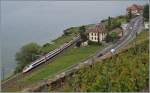 Der SBB ETR 610 als EC 32 von Milano nach Genève unterwegs bei Treytorrens.