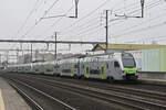 Doppeltraktion, mit den RABe 515 013 und 515 003 der BLS durchfährt am 17.02.2025 den Bahnhof Rothrist.