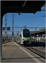 Der BLS MUTZ 515 005 erreicht beim genieteten Bahnsteig an Gleis 4 sein Ziel Thun.
29. Okt. 2016 