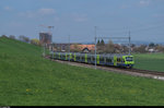 Zwei NINAs sind am 10. April 2016 auf der S44 in Richtung Thun unterwegs und durchfahren in Kürze die Station Kehrsatz Nord. Hinten die Baustelle Bächtelenacker in Wabern bei Bern. Auch eine neue S-Bahn-Haltestelle  Kleinwabern  soll es dort in ein paar Jahren geben.