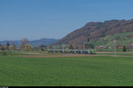 Eine Doppeltraktion NINA fährt am 10. April zwischen Toffen und Kaufdorf auf der S44 in Richtung Thun.