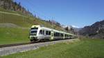 Der RABe 535 113  Lötschbergerin  und 535 112 fahren als R 6817 von Spiez nach Zweisimmen, hier bei Grubenwald, Grubenwald 04.04.2021