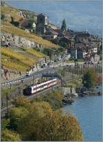 Ein eher seltener Gast im Lavaux, aber ein gelungener Farbtupfer: Der Walliser TMR Rgion-Alpes Domino bei St-Saphorin.