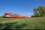 CJ RBDe 566 I 221 mit ABt 921 als Regio zwischen Porrentruy und Bonfol. Aufgenommen am 09.05.2020