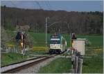 Eingerahmt von blühenden Bäumen und blicken Bahnübergang-Signals fährt ein BAM MBC Be 4/4 mit seinem Bt nach l'Isle.