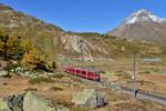 ABe 8/12 3514 mit einem Regio am 16.10.2016 bei Bernina Lagalb.